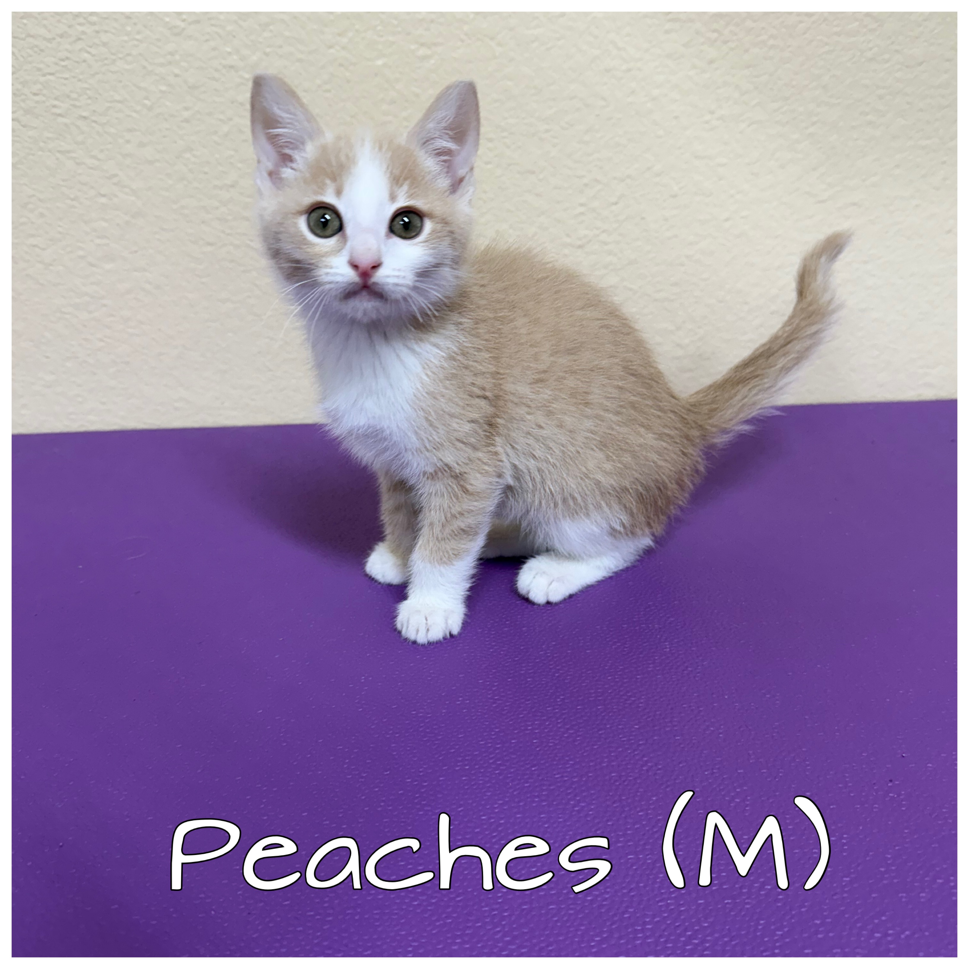 Peaches
