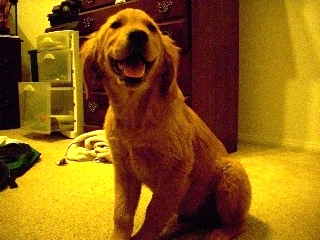 Zack