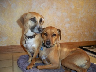Stanley and Kingsley