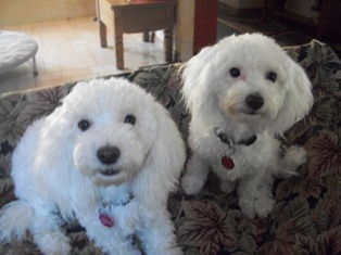 Sabrina and Mitzi