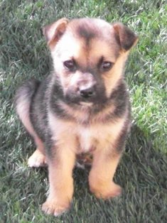 Little One
