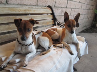 Isabella and Lakota