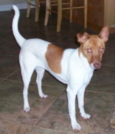 JR