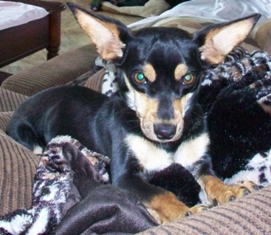 Maggie