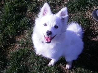 Max