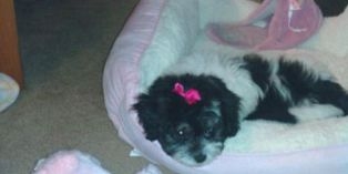 Millie