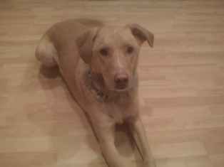 Charlie