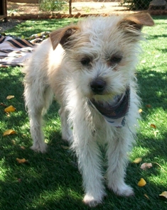 Fred