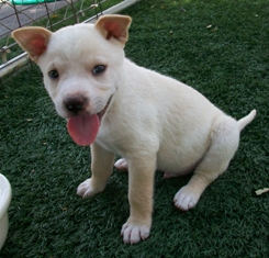 Max