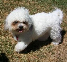 Lucy