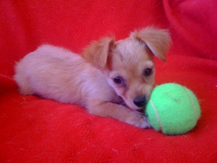 Nicky