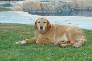 Troy