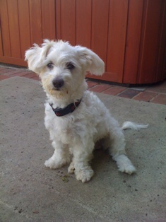 Charlie
