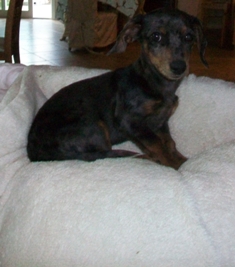Winnie