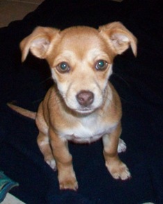 Winnie