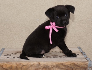 Mayberry