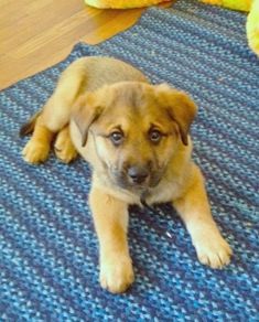 Lily