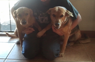 Sophie and Daisy