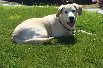 Bella