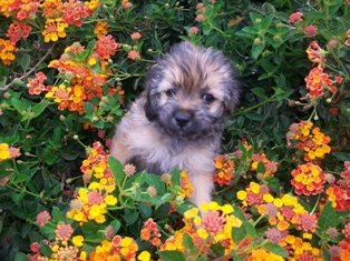 Gabby