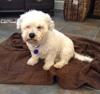 Rudy