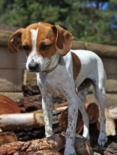 Clark