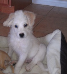Billy