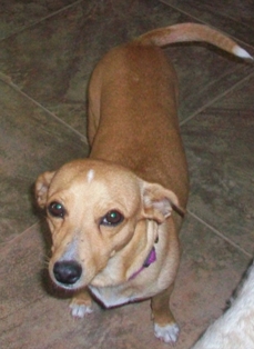 Peggy Sue