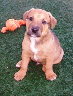 Oliver