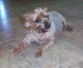 Winston