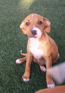 Winnie