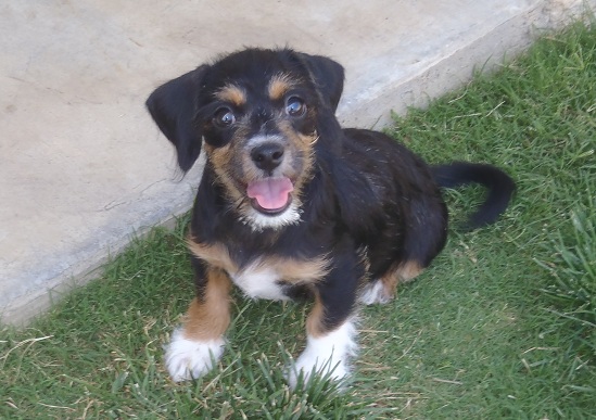 Delilah