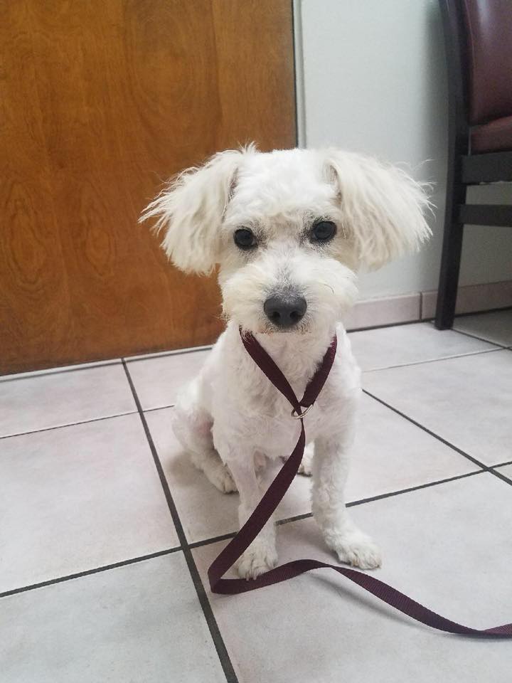 Frito