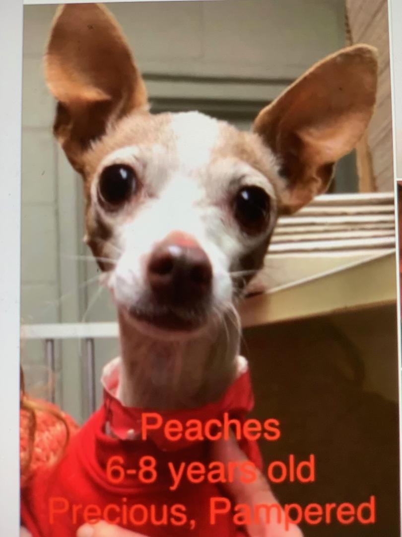 Peaches