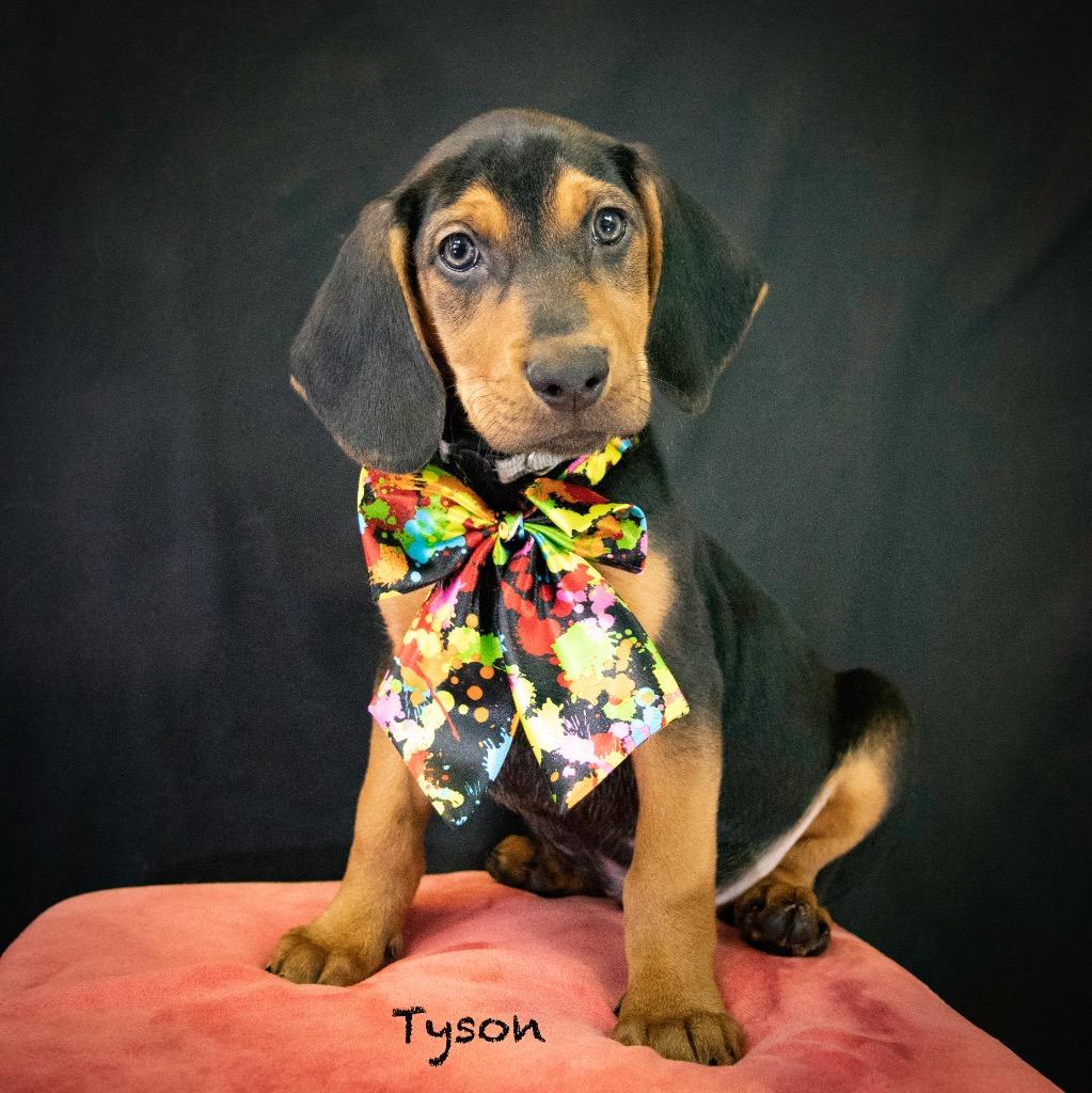 Tyson