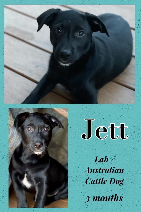 Jett