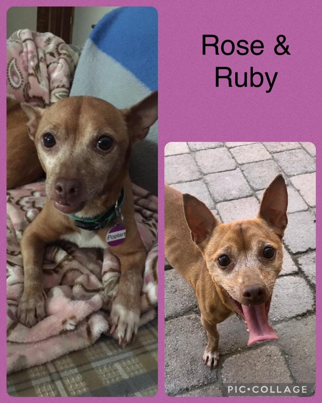 Rose & Ruby