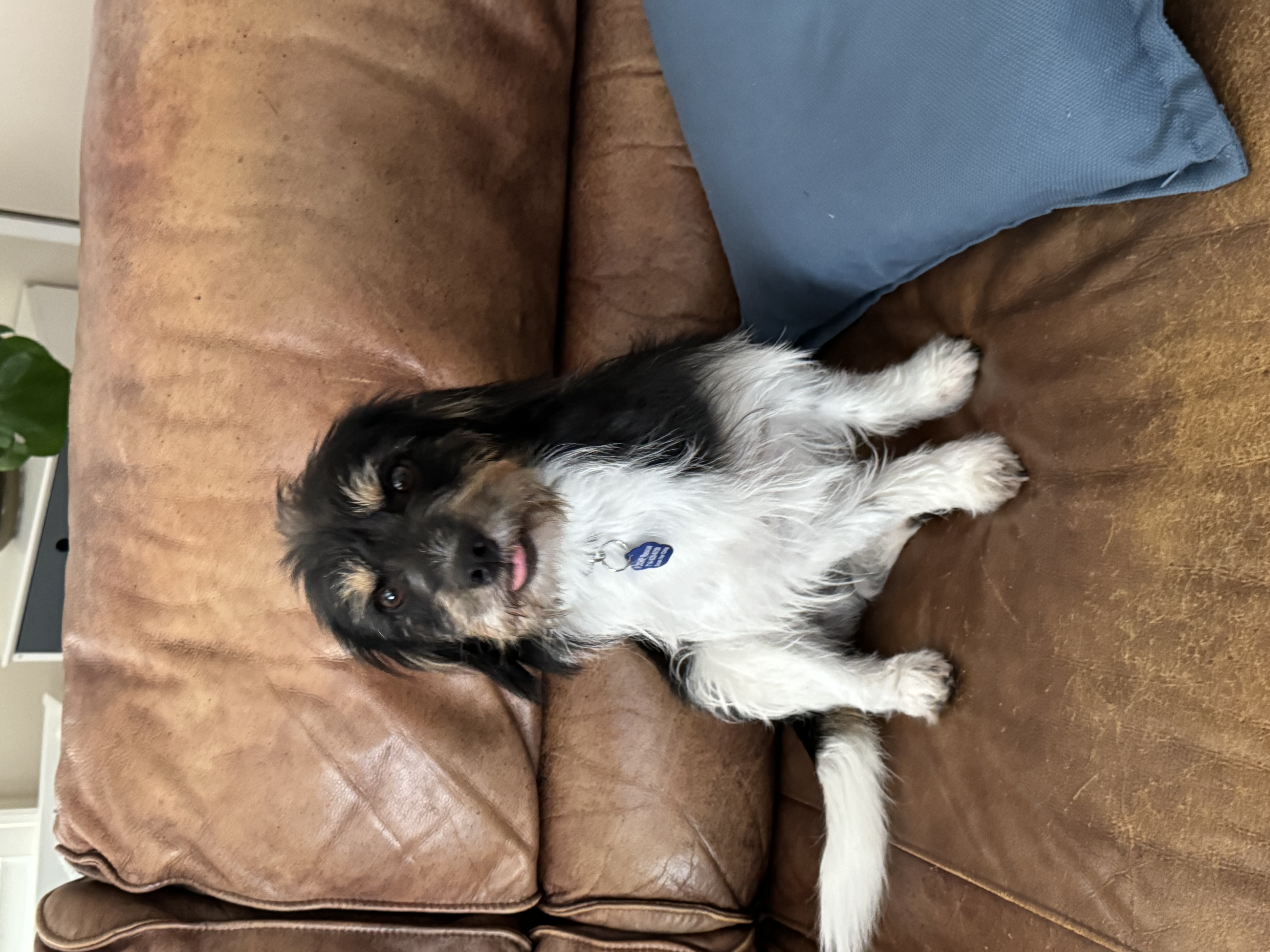 Benny