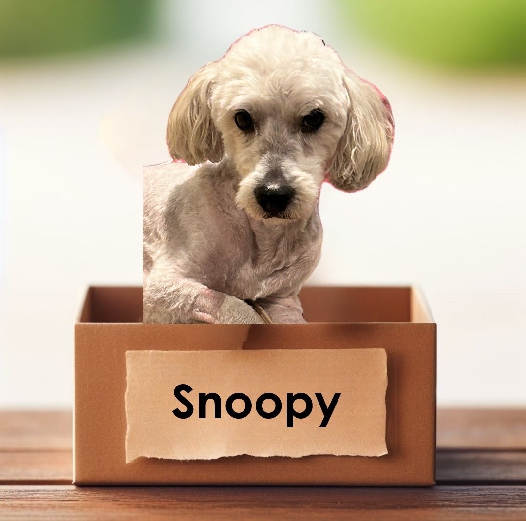 Snoopy