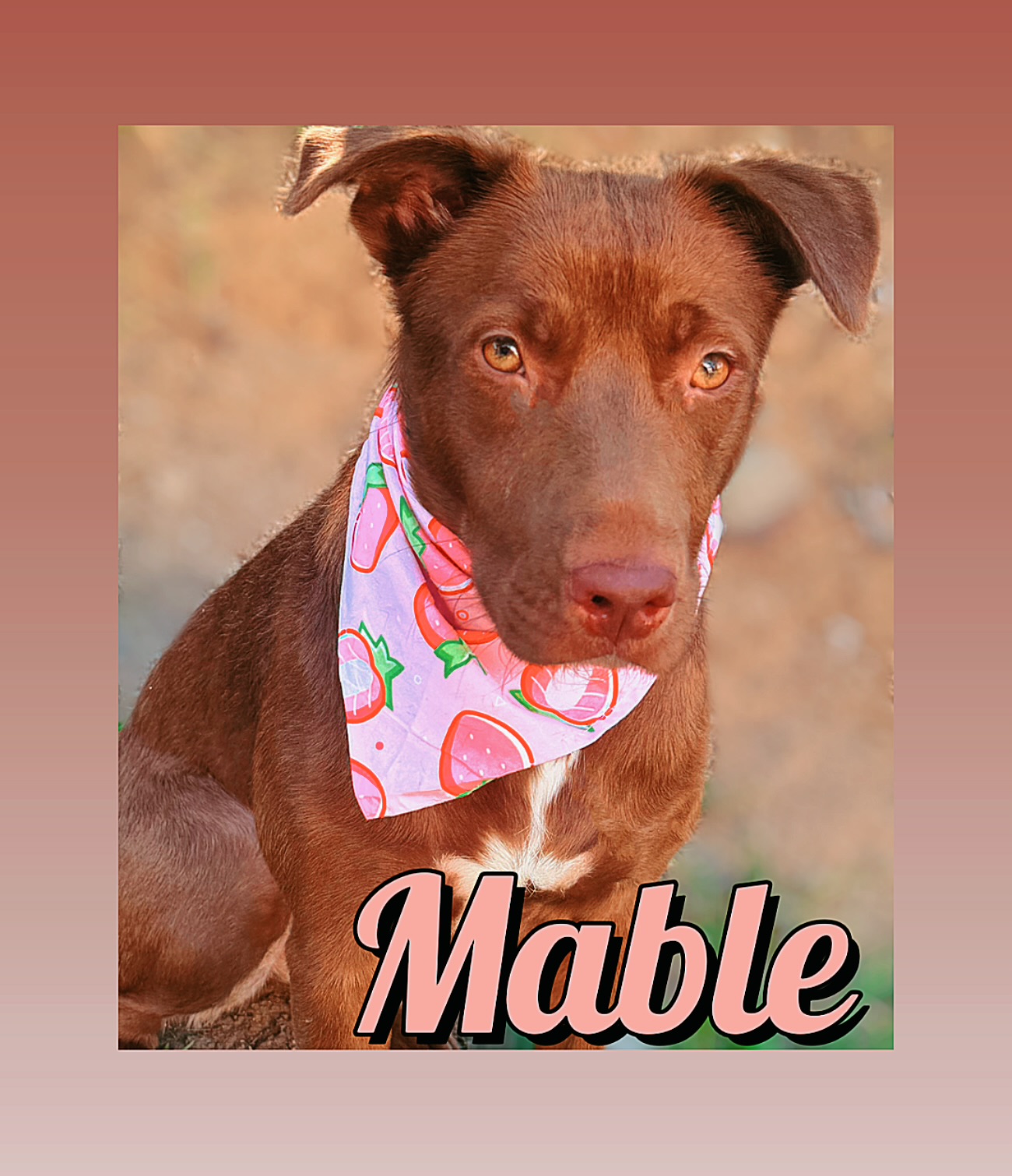 Mable