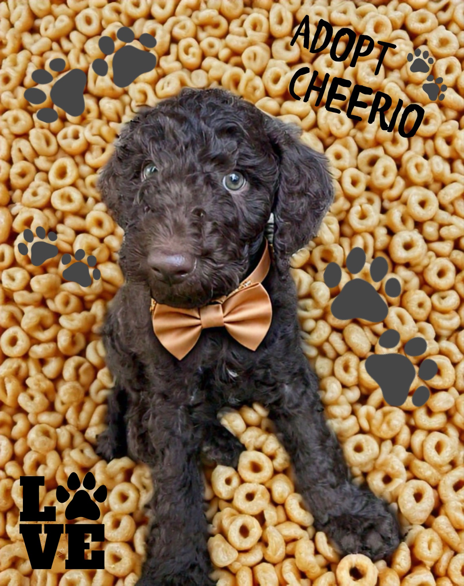 Cheerio