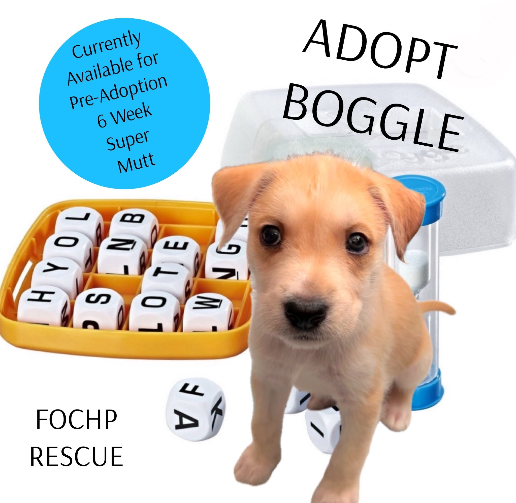 Boggle