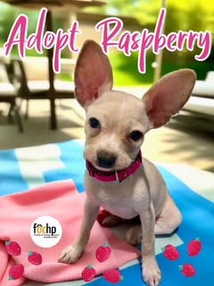 Raspberry
