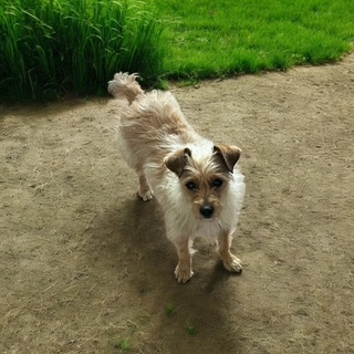 Lucy