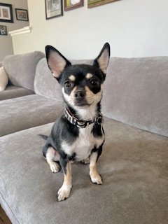 Tina