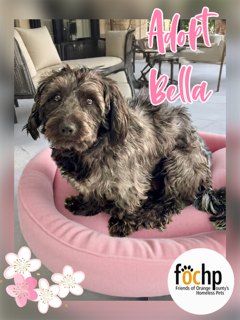 Bella