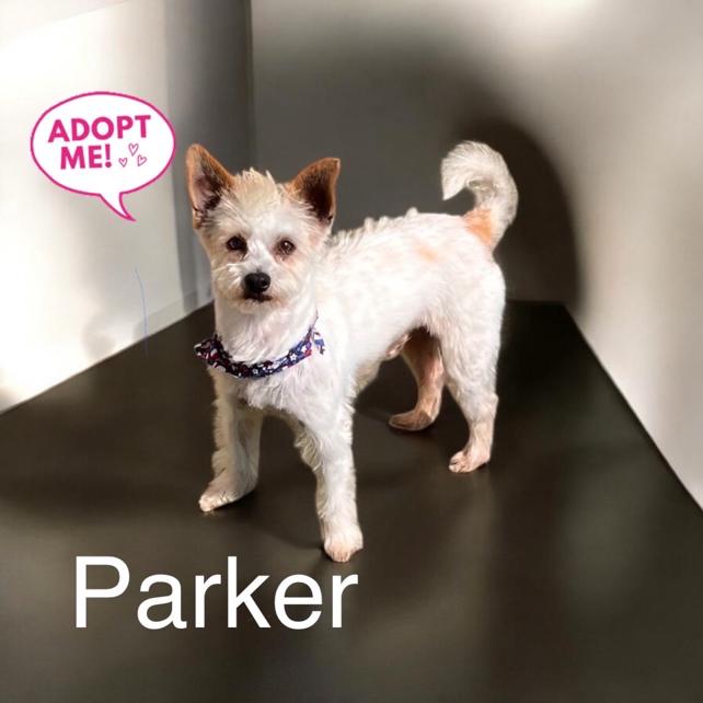 Parker