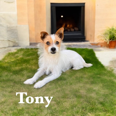Tony