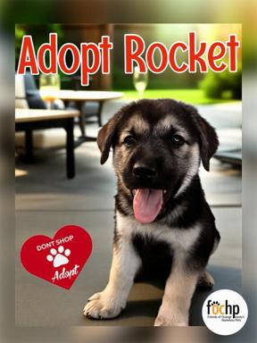 Rocket