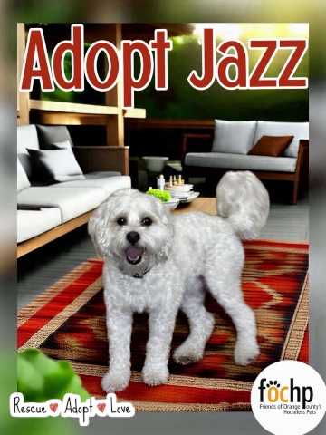 Jazz